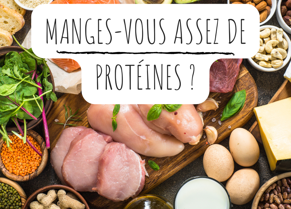Mangez-vous assez de protéines ?