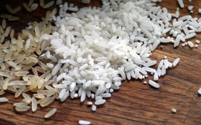 Les secrets du riz : bienfaits, précautions et astuces d’utilisation