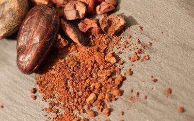 Cacao cru : le super-aliment qui nourrit l’intestin… et le cerveau