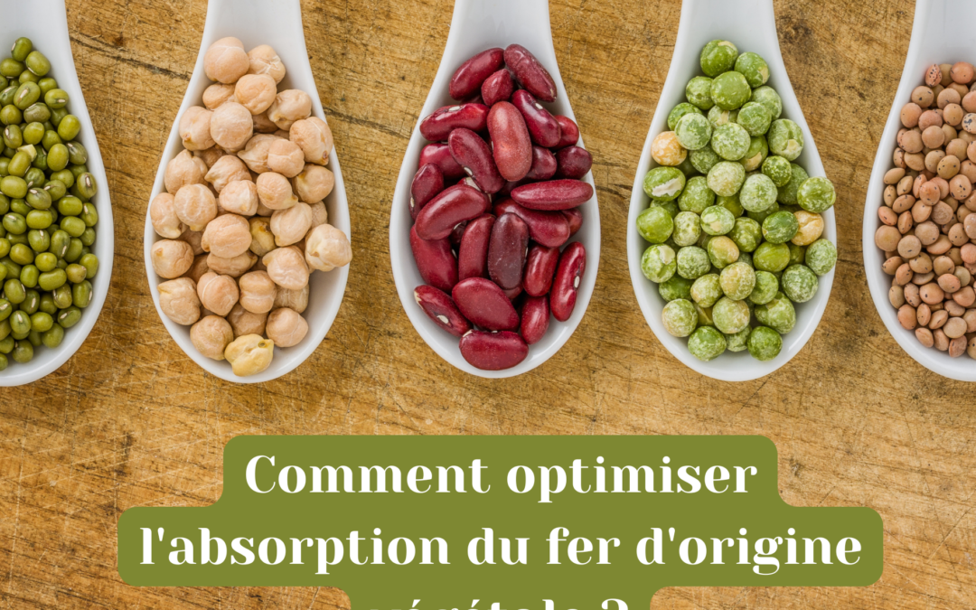 Comment optimiser l&rsquo;absorption du fer d&rsquo;origine végétale ?